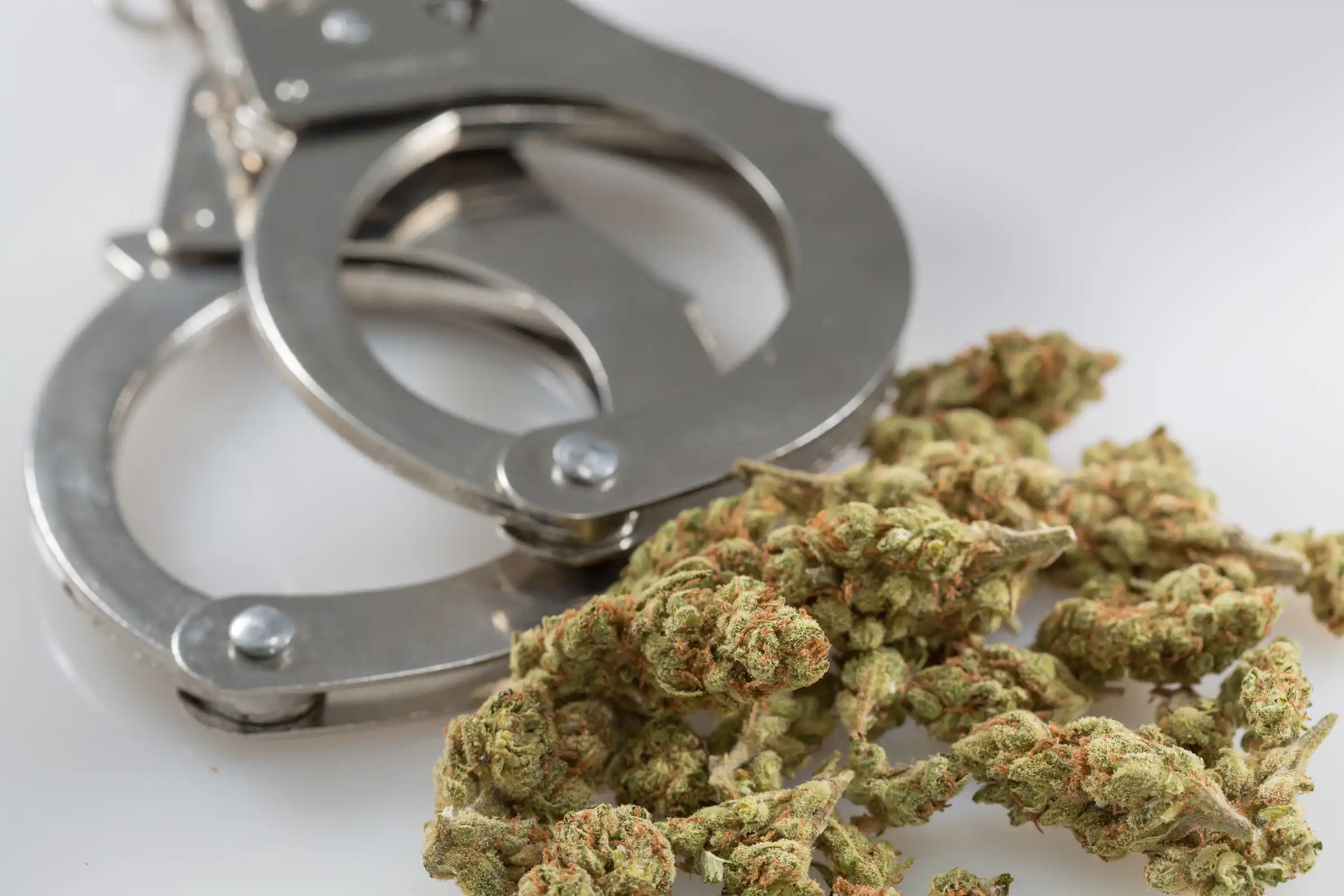 La Cour suprême de Virginie-Occidentale examine si l'odeur de marijuana peut servir de base à la police pour perquisitionner les maisons