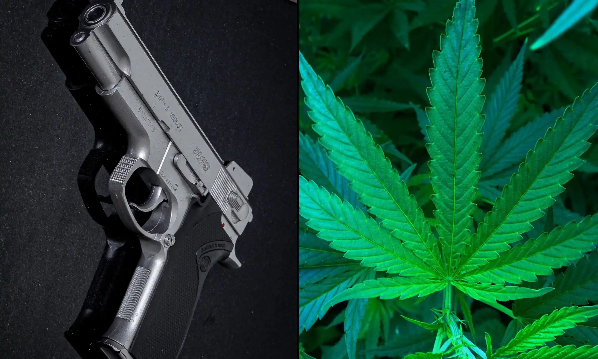À Hawaï, davantage de personnes se voient refuser un permis d'armes à feu à cause de la marijuana médicale que pour toute autre raison, selon le rapport du procureur général