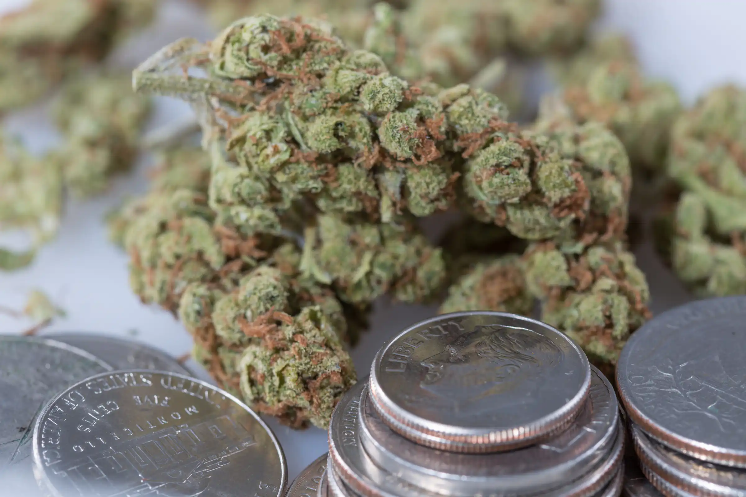 Les législateurs républicains sont « troublés » par le fait que les entreprises de marijuana bénéficient d'un allégement fiscal dans le cadre de la décision de rééchelonnement de Trump