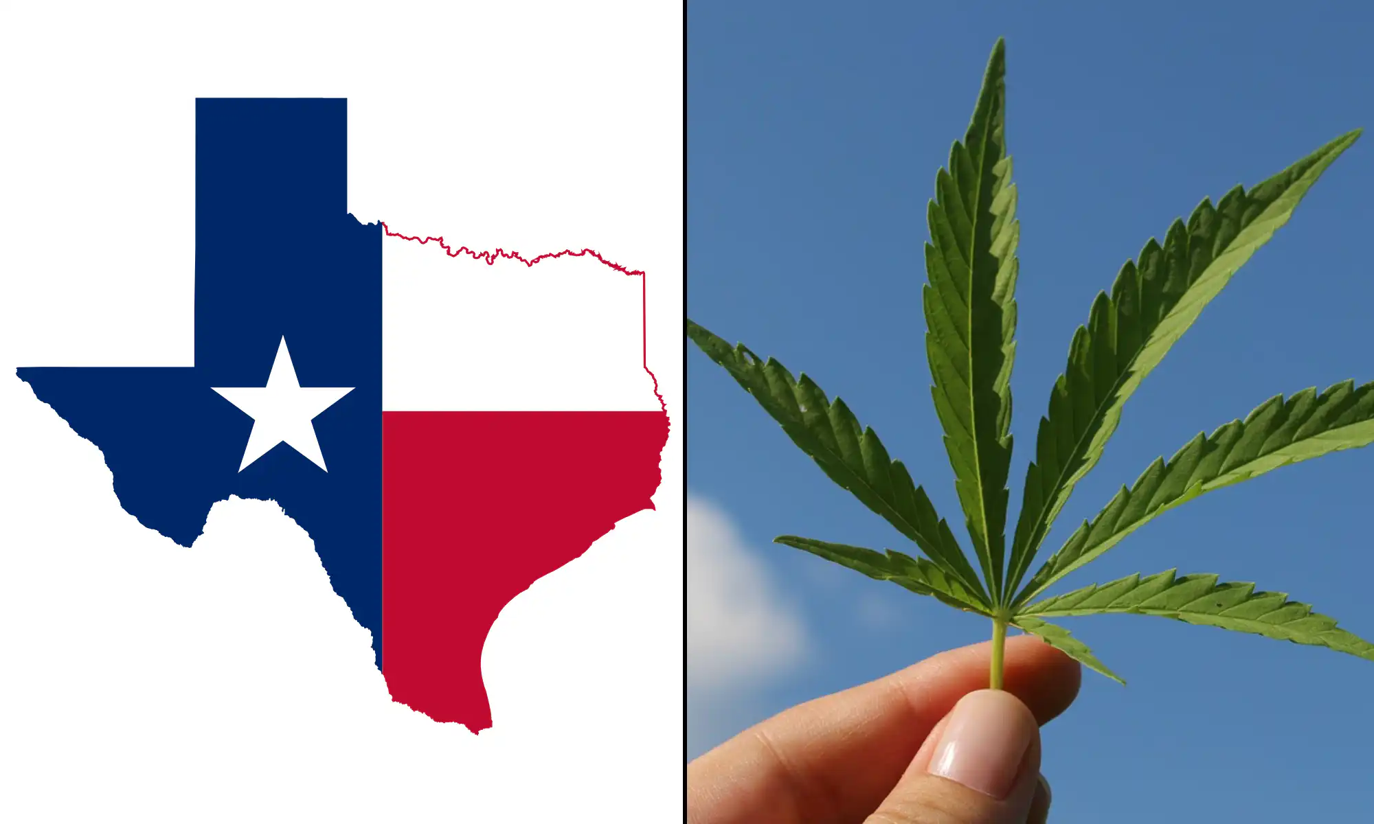 Un juge du Texas autorise la vente de chanvre fumable et d'autres produits, empêchant ainsi l'application de l'interdiction de l'État