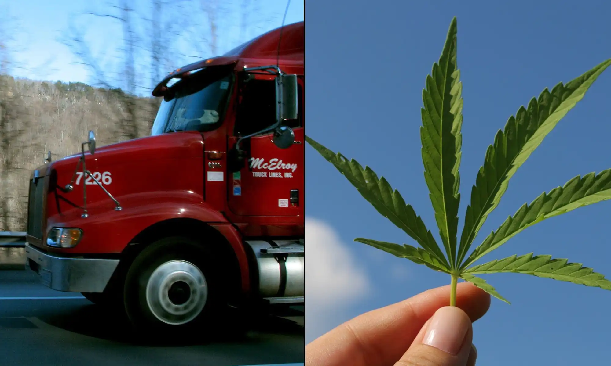La règle fédérale de dépistage des drogues exigera la collecte d'urine « directement observée » auprès des chauffeurs de camion