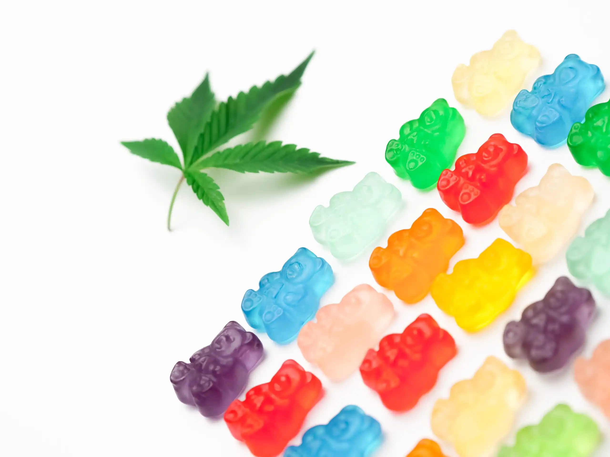 Les produits à base de chanvre THC resteront légaux en Caroline du Sud alors que les législateurs ne parviennent pas à s'entendre sur les limites