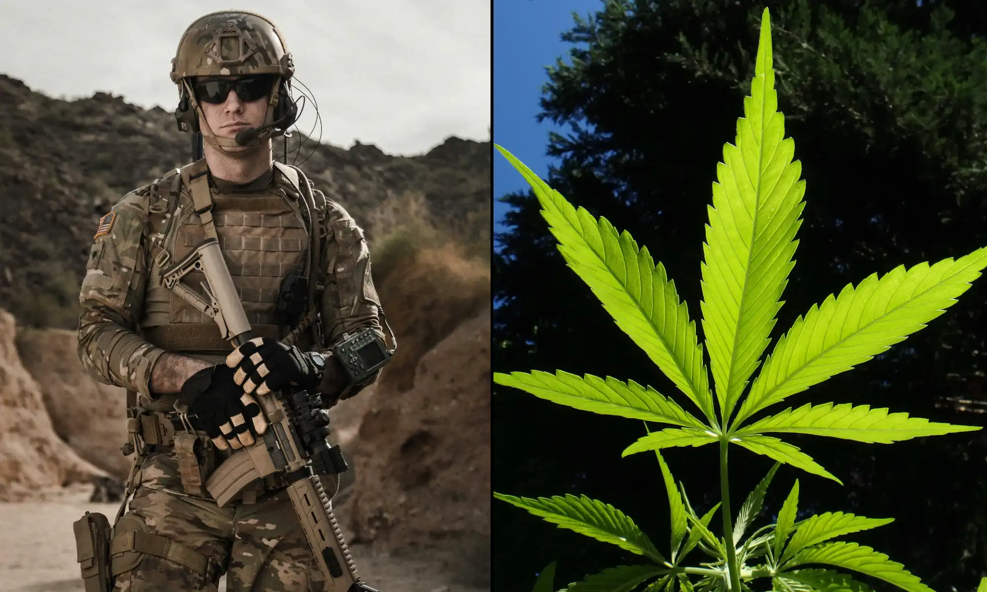 Un amendement du Congrès étendrait les dérogations à la marijuana pour les recrues militaires testées positives au THC