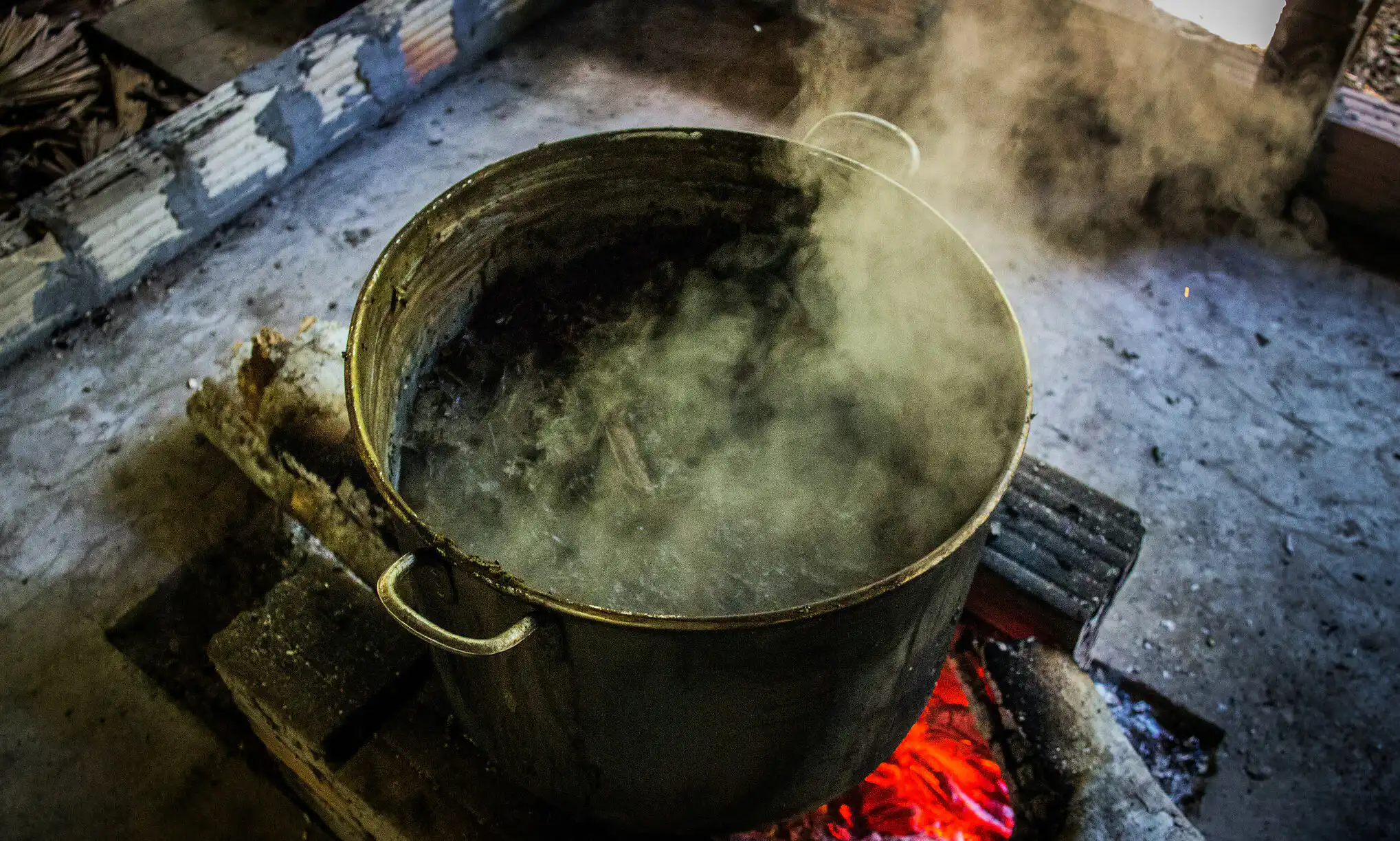 L'accord secret de l'Église psychédélique avec la DEA et l'approbation des responsables de l'Iowa autorisent l'importation et la fabrication d'Ayahuasca