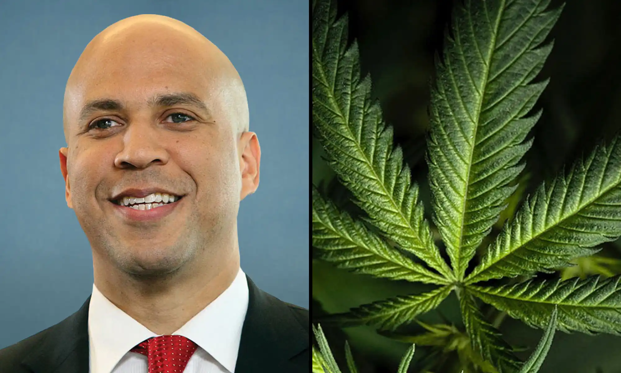 Cory Booker dénonce la DEA pour avoir condamné des employés antérieurs contre des entreprises de marijuana demandant des protections contre le rééchelonnement