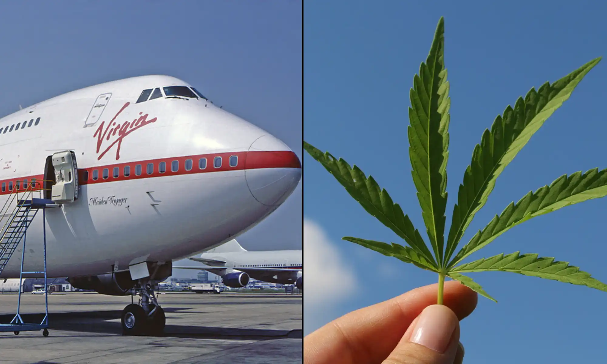 La TSA précise que sa politique en matière de marijuana « n'a pas changé » malgré les gros titres Clickbait