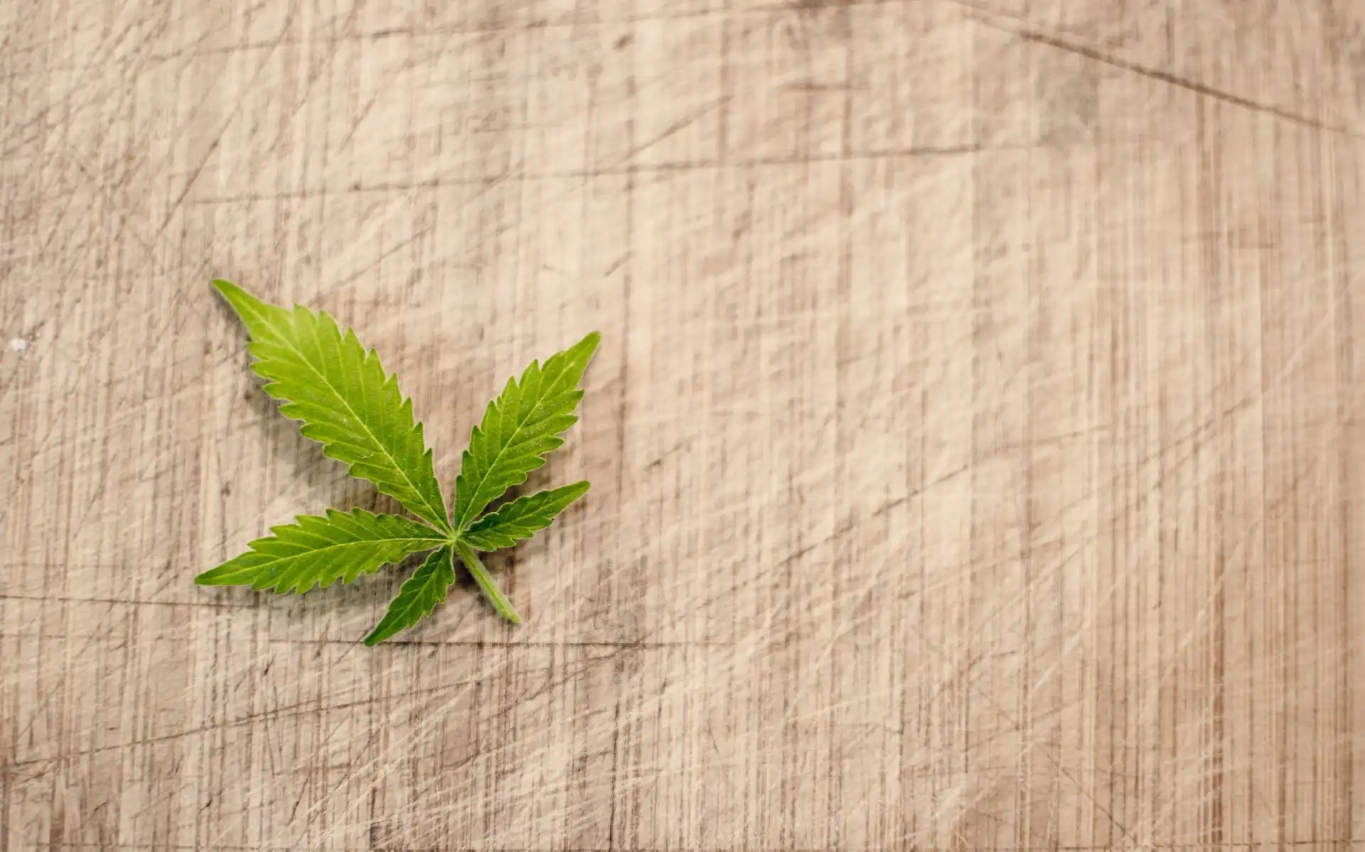 Les législateurs veulent des conseils en matière de taxe sur le cannabis de l'IRS (Newsletter : 29 mai 2026)