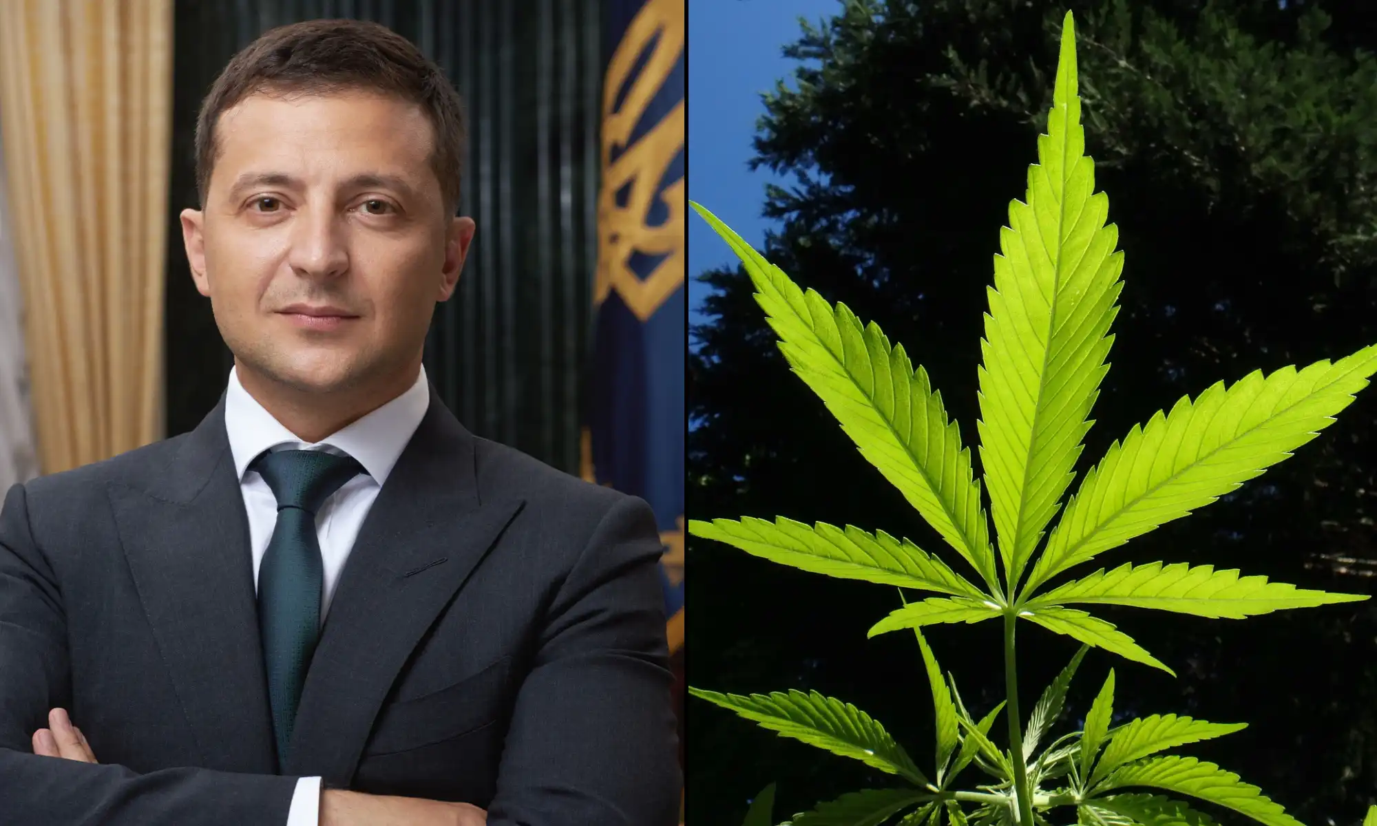Les premiers produits médicaux légaux à base de cannabis d'Ukraine ont été distribués à des anciens combattants et à une femme atteinte de SEP