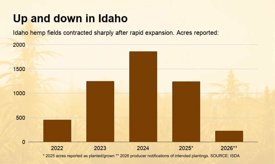 Les producteurs de chanvre de l’Idaho réduisent leurs superficies pour 2026 alors que la demande ne parvient pas à rattraper l’offre