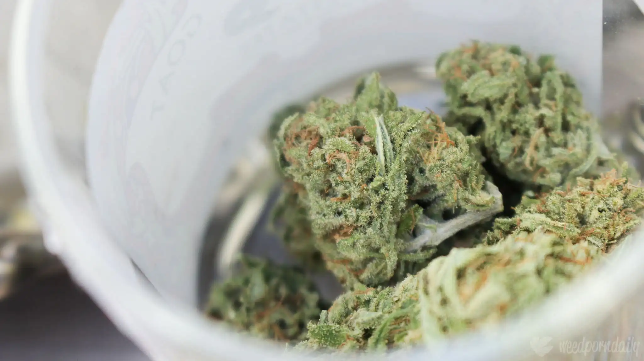 Des taxes trop élevées sur la marijuana poussent les consommateurs vers le marché illégal, selon une étude financée par le gouvernement fédéral