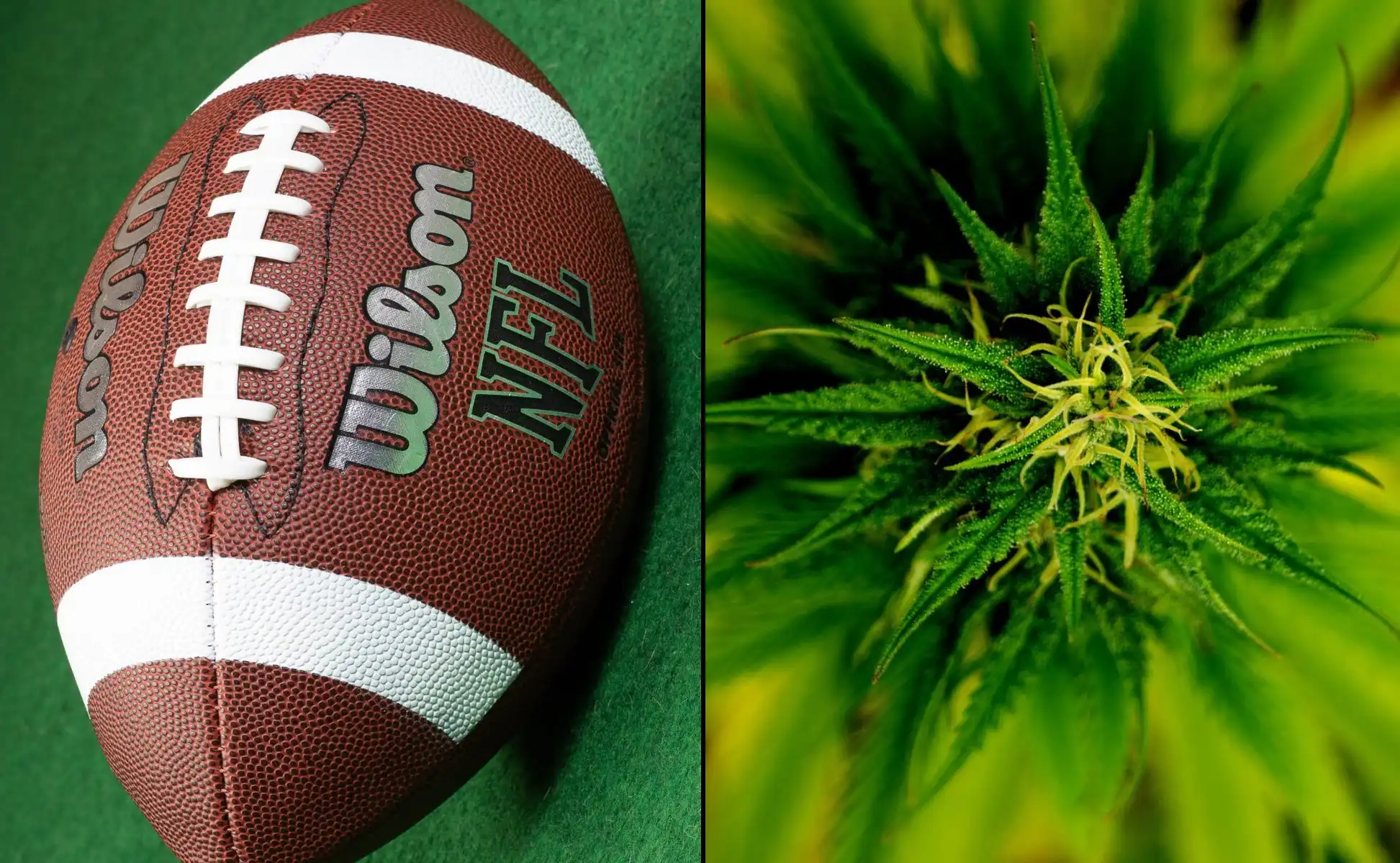Les attitudes anti-marijuana dans le sport s'atténuent, mais la stigmatisation persistante rend le travail des entraîneurs sportifs plus difficile, selon une étude financée par la NFL