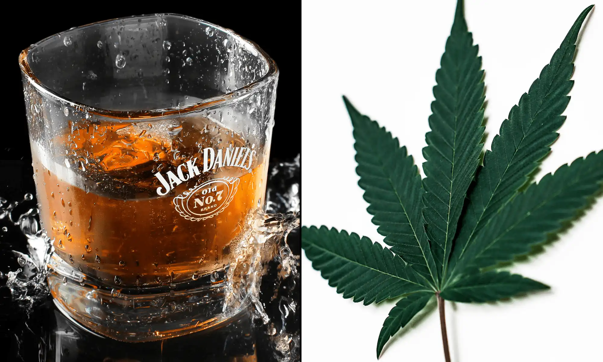 Pourquoi la marijuana est-elle réglementée plus strictement que l’alcool, même si sa consommation est plus sûre ? (éditorial)