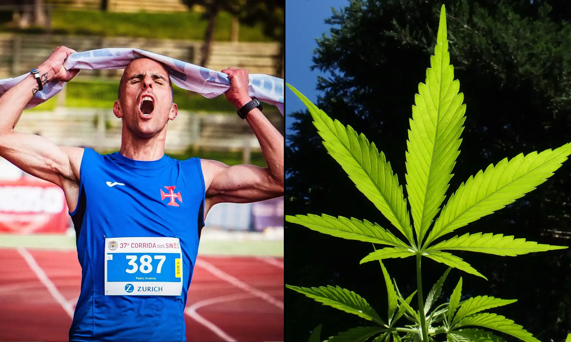 Le CBD a des « propriétés potentiellement améliorant la performance » dans le sport et peut aider les athlètes à récupérer après un exercice, selon une étude