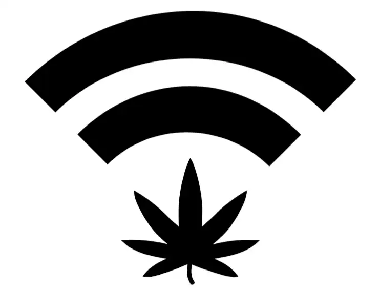 Les responsables du Missouri ont reçu près de 900 demandes pour le cycle final de licences pour les microentreprises de marijuana