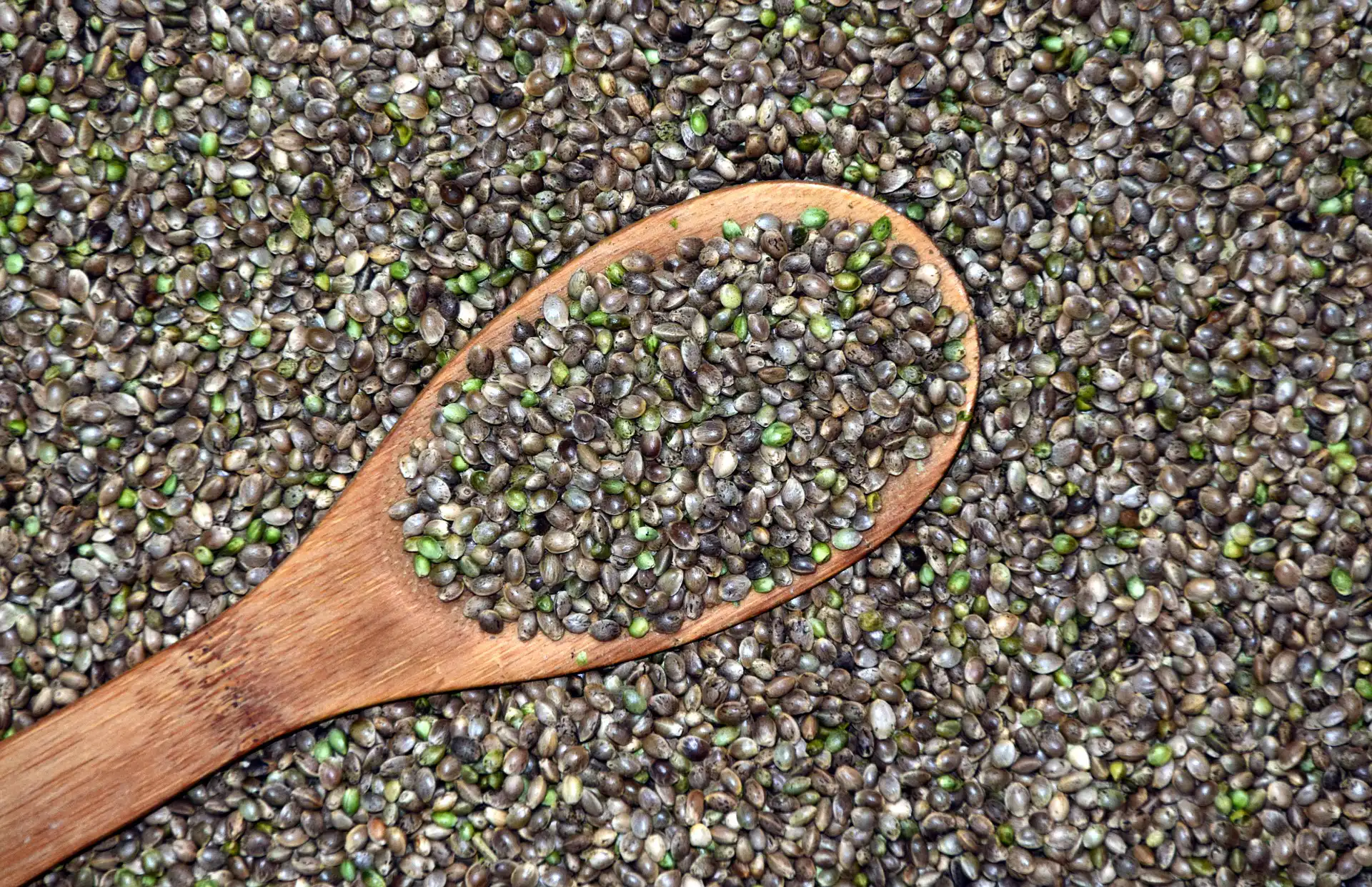 Les graines de chanvre pourraient être interdites comme effet secondaire de la lutte contre les produits à base de THC (Op-Ed)