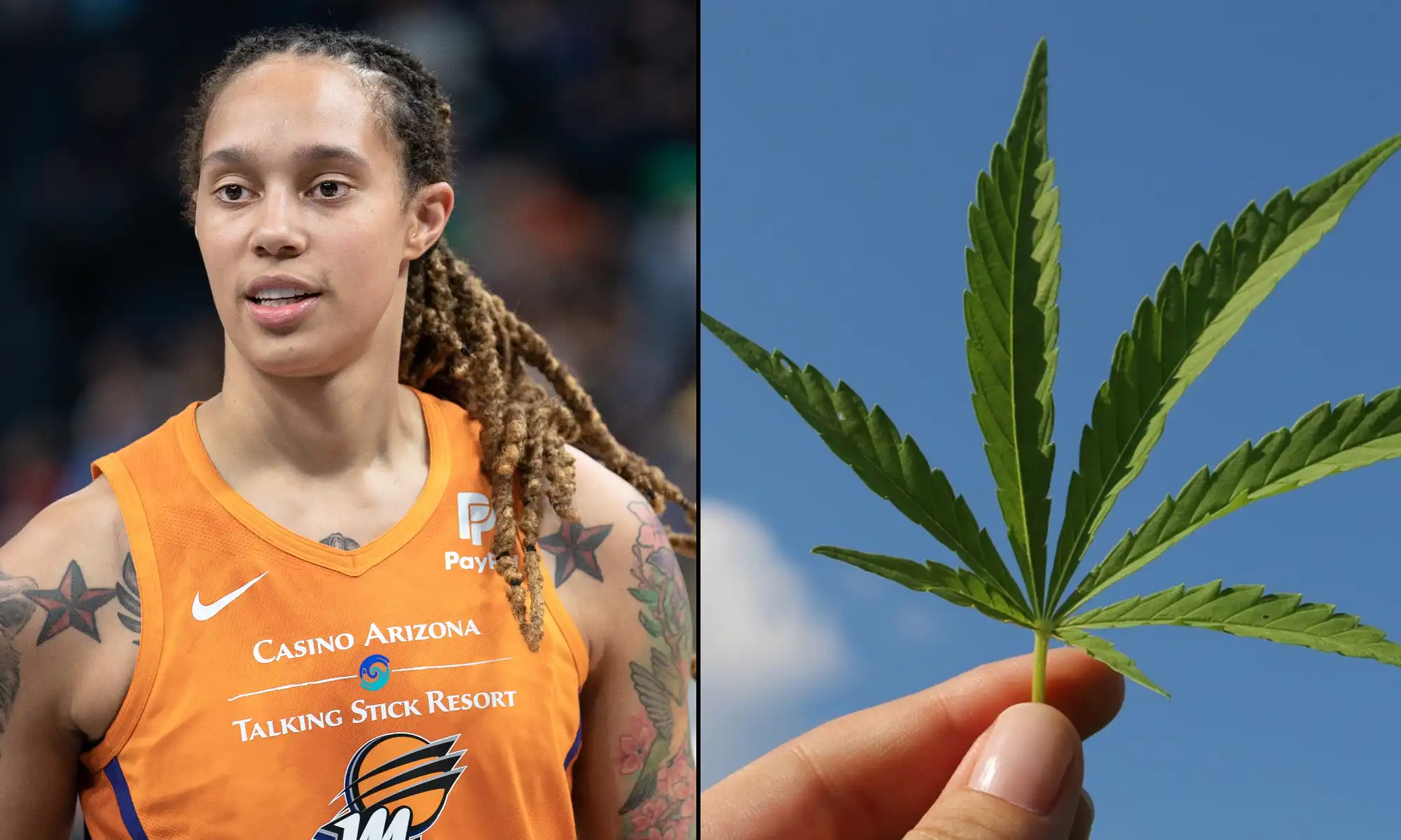 Les 50 États devraient légaliser le « commerce en plein essor » de la marijuana, déclare Brittney Griner
