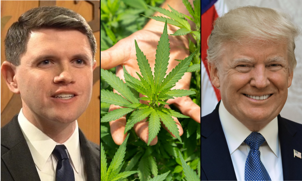 Talarico veut s'associer à Trump pour légaliser la marijuana s'il remporte la course au Sénat du Texas